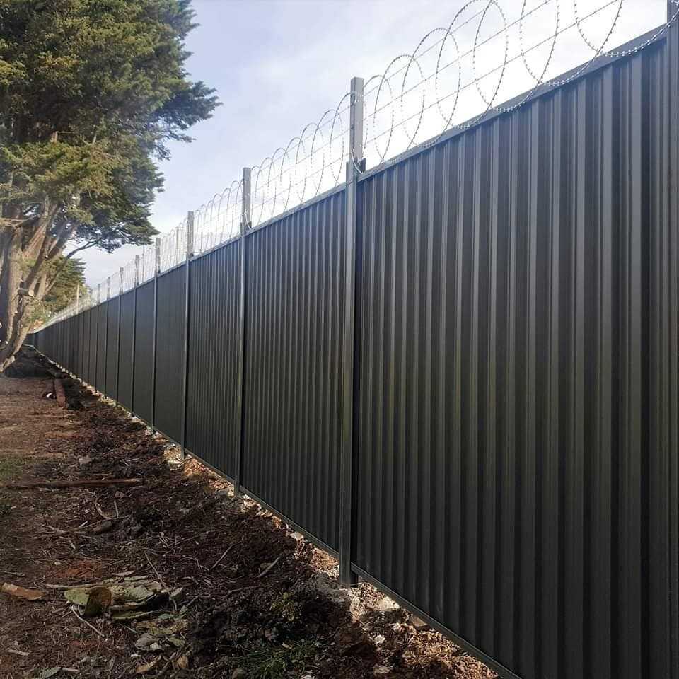 Maximum security fencing